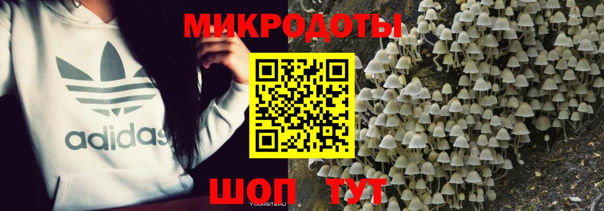 Галлюциногенные грибы Psilocybine cubensis  Псилоцибиновые грибы MAGIC MUSHROOMS  Вход с VPN  Чехов 