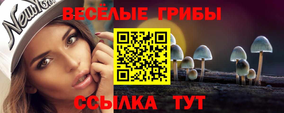 Псилоцибиновые грибы Cubensis Чехов